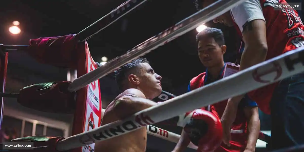 利来国利ag旗舰厅——🎯百步穿杨，精准致胜！